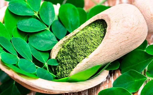 Poudre de moringa
