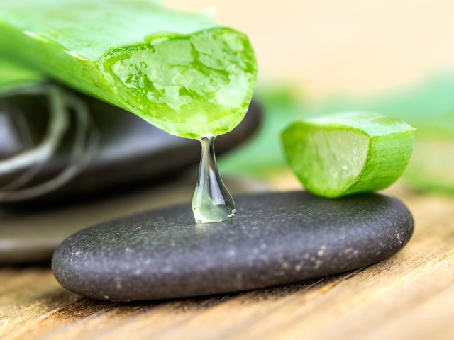 Propriétés et bienfaits de l'Aloe vera