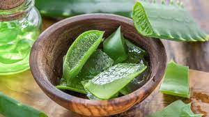 Propriétés et bienfaits de l'Aloe vera contre le diabète