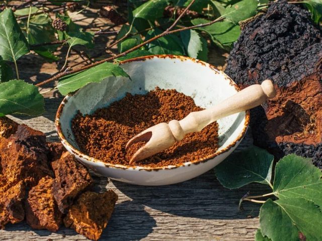 Les bienfaits de la Poudre de Chaga pour votre bien-être