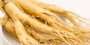 Propriétés de l'herbe médicinale Ginseng