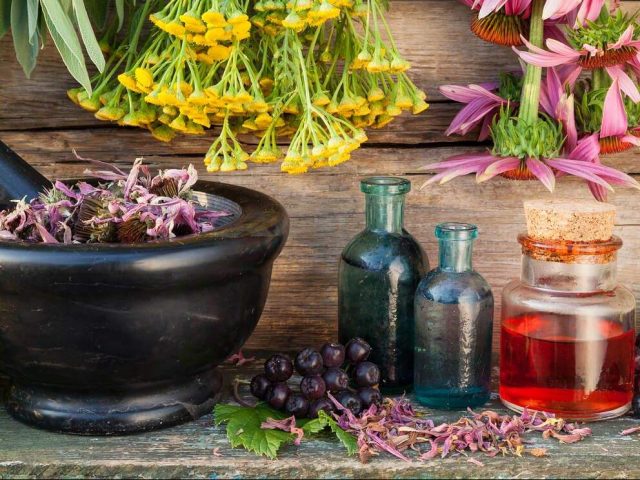 herbes médicinales