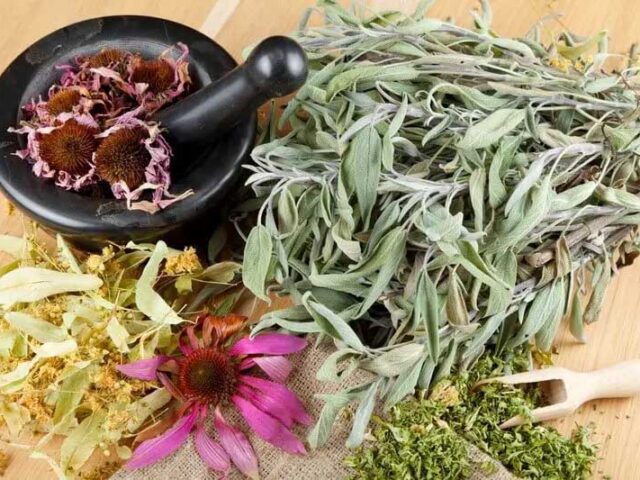 Super Aliments pour une Vitalité Optimale